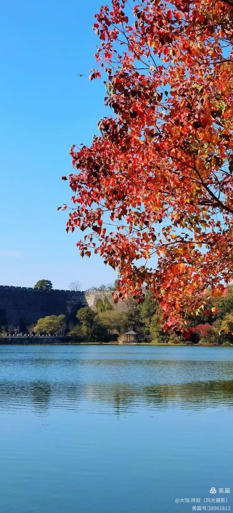 醉美的中山陵前湖秋景